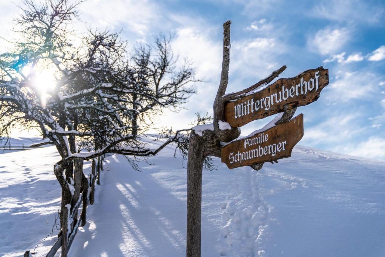 Bed and Breakfast Mittergruberhof Schladming Zewnętrze zdjęcie