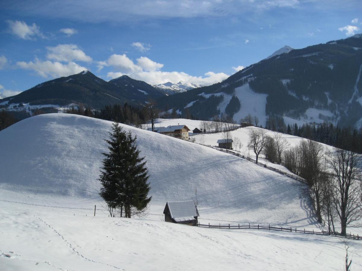 Bed and Breakfast Mittergruberhof Schladming Zewnętrze zdjęcie