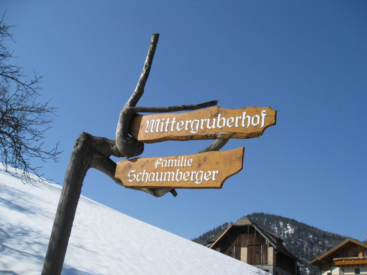 Bed and Breakfast Mittergruberhof Schladming Zewnętrze zdjęcie