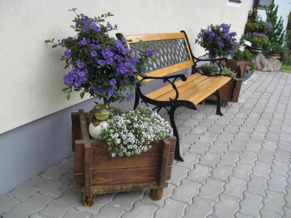 Bed and Breakfast Mittergruberhof Schladming Zewnętrze zdjęcie