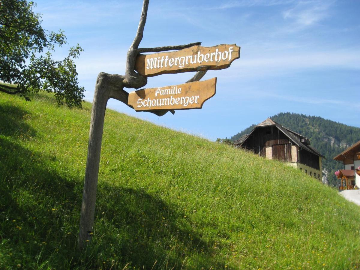Bed and Breakfast Mittergruberhof Schladming Zewnętrze zdjęcie
