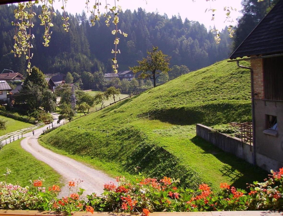Bed and Breakfast Mittergruberhof Schladming Zewnętrze zdjęcie